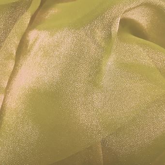 Gold Organza