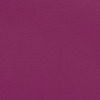 Raspberry Raspberry